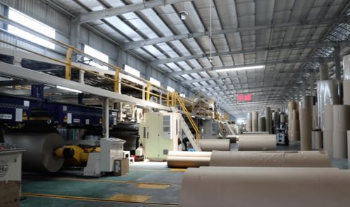 纸板 投资1.2亿的包装项目加快建设,项目一期已先行投产