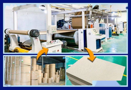 探秘合兴包装东北子公司 瓦楞纸箱全流程生产实录